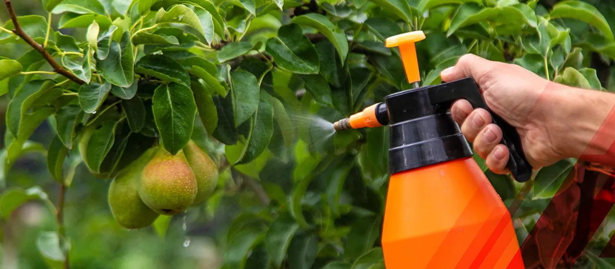 Top 10 Companies in the Biopesticides Market: Leading the Green Revolution